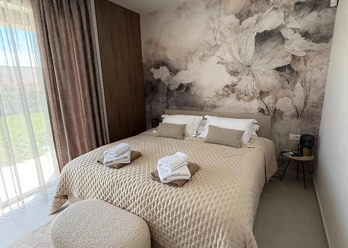 Daleo With Heated Pool And Jacuzzi Near Porec Villa